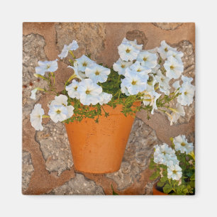 Spanish Wall Magnet