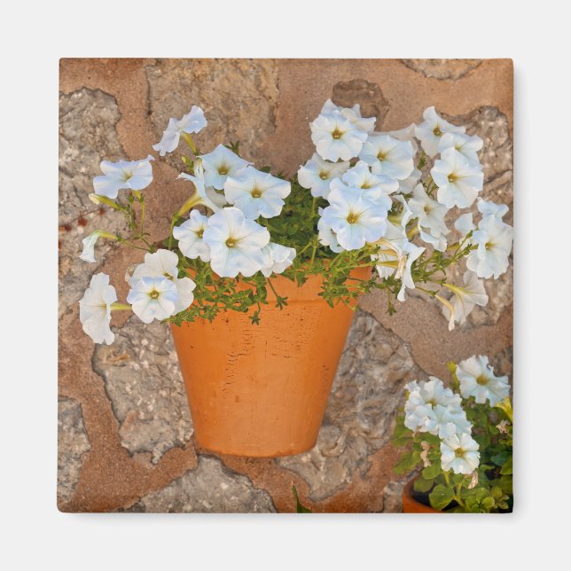 Spanish Wall Magnet (Front)