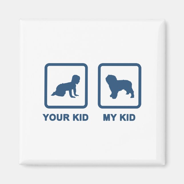 Spanish Water Dog Magnet (Front)