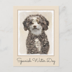 Spanish Water Dog Painting - Cute Original Dog Art Postcard