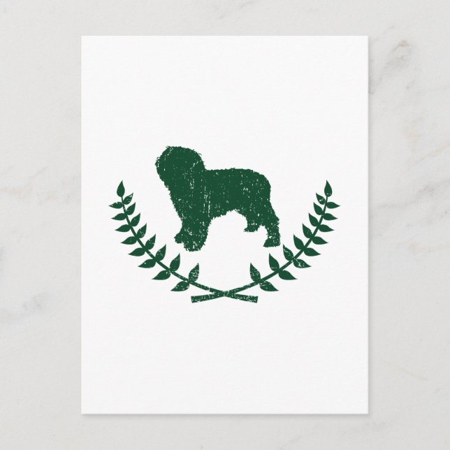 Spanish Water Dog Postcard (Front)