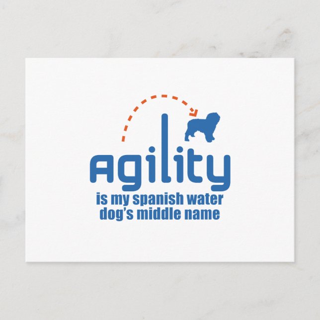 Spanish Water Dog Postcard (Front)