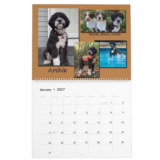 Spanish Water Dogs 2020 Calendar (Jan 2027)