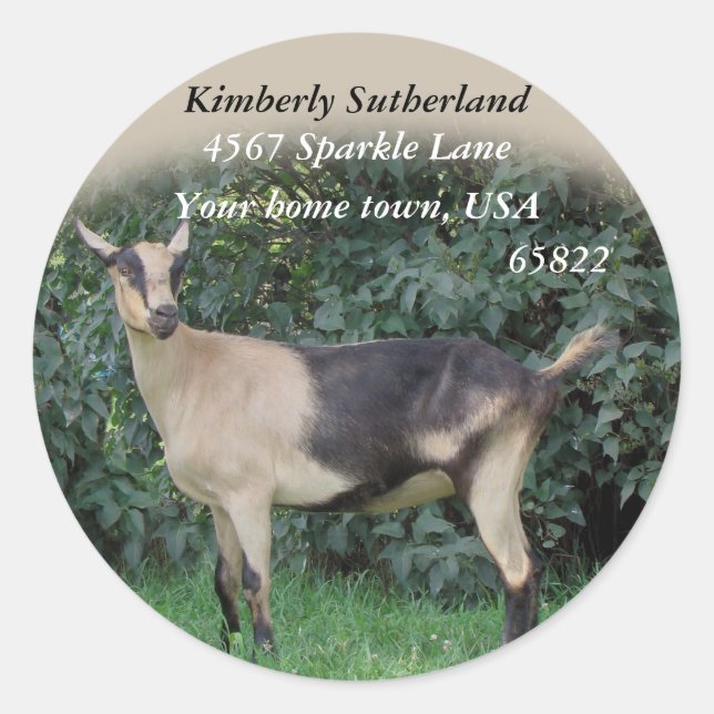 Sparkle Stickers-customise Classic Round Sticker (Front)