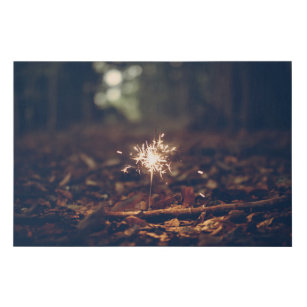Sparkler In The Forest's Leaves Canvas