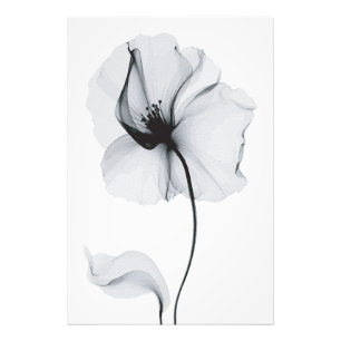 Sparkling Blossom: Nature's Radiant Reflection Photo Print
