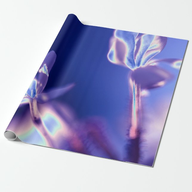 Sparkling Lavender and Blue Wrapping Paper (Unrolled)