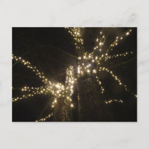 Sparkling Outdoor Tree Lights DIY Postcard