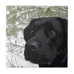 Sparkling Pines - Snow Labrador - Black Lab Ceramic Tile