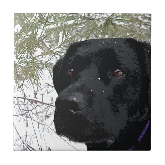 Sparkling Pines - Snow Labrador - Black Lab Ceramic Tile (Front)