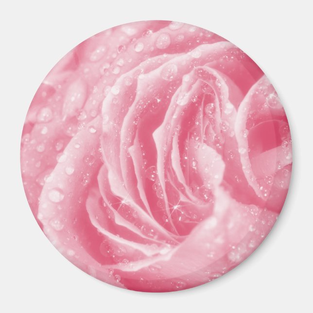 Sparkling Pink Rose Magnet (Front)