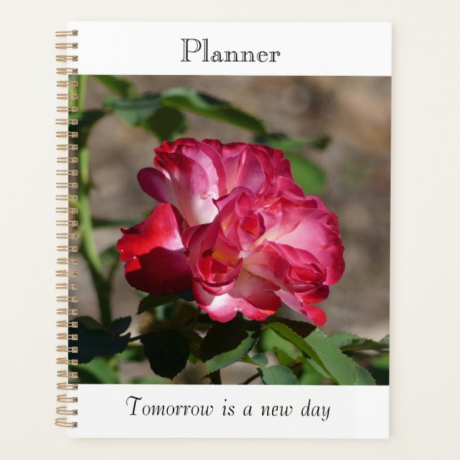 Sparkling Rose Planner (Front)