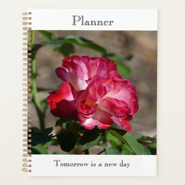 Sparkling Rose Planner (Front)