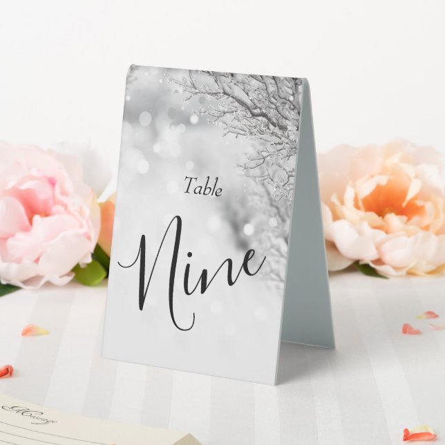 Sparkling Snow and Ice Winter Wedding (In SItu (Wedding))