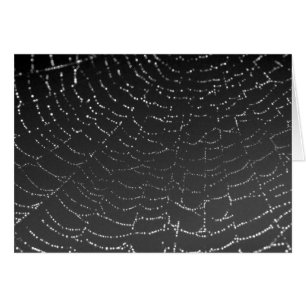 Sparkling Spiderweb