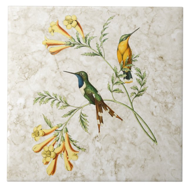 Sparkling Tailed Hummingbird Ceramic Tile (Front)