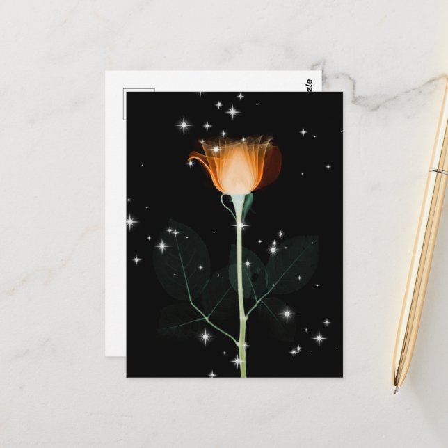 Sparkling X-Ray Flower - Orange Postcard (Front/Back In Situ)
