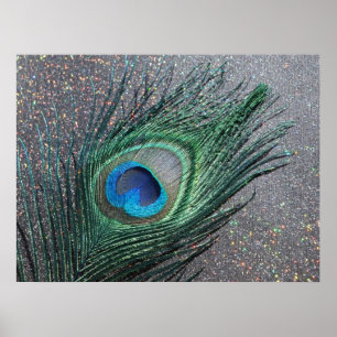 Sparkly Black Peacock Feather Still Life Poster