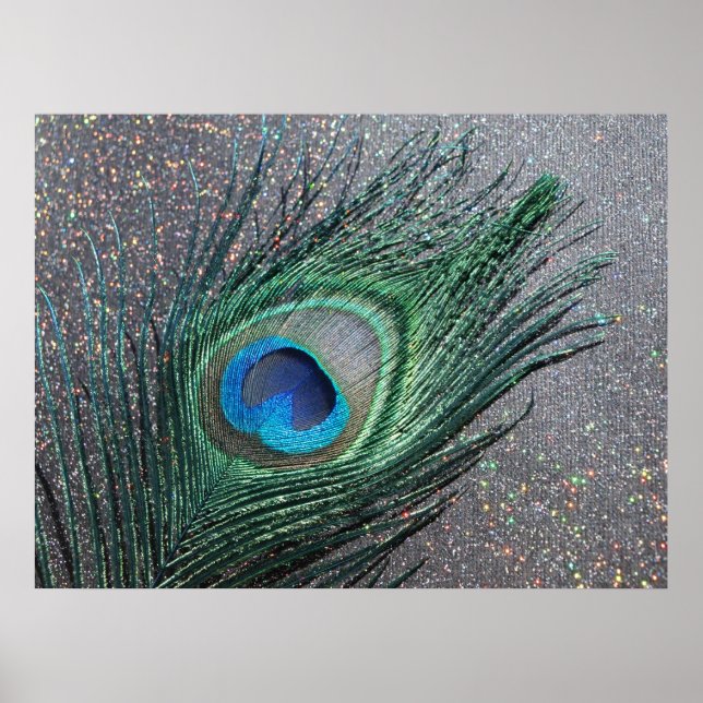 Sparkly Black Peacock Feather Still Life Poster (Front)