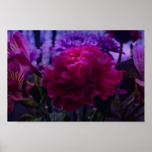 Sparkly Carnation Poster