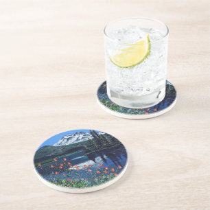 Sparks Coaster