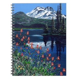 Sparks Notebook