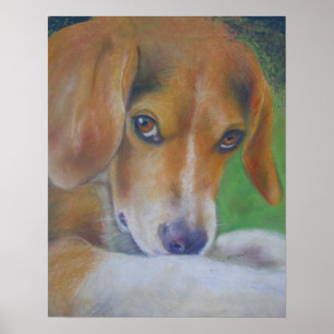 Sparky Dog: Eyes Poster