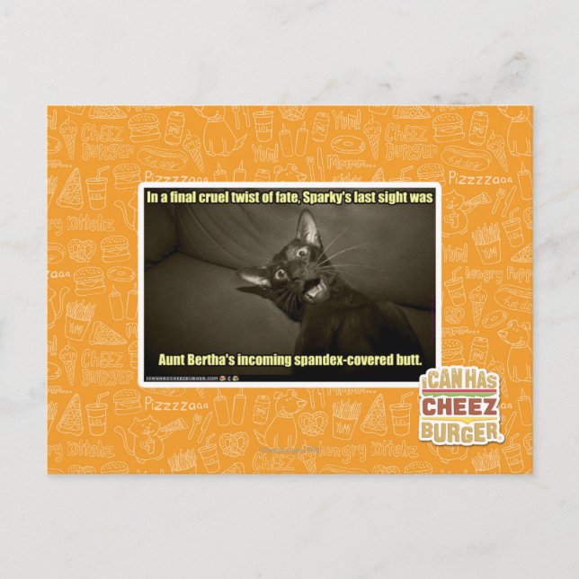Sparky's last sight postcard (Front)