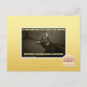 Sparky's last sight postcard