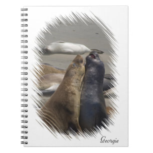 Sparring Elephant Seals Notebook