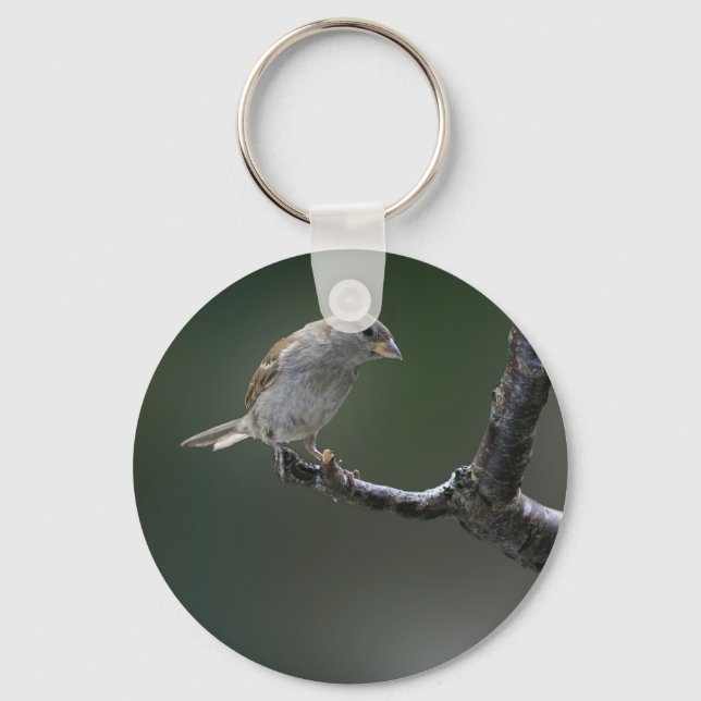 Sparrow  1 key ring (Front)