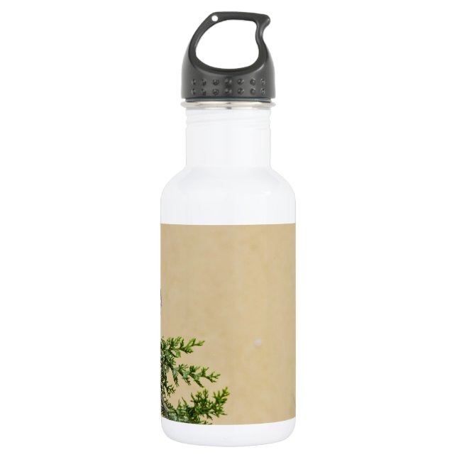 Sparrow 532 Ml Water Bottle (Front)