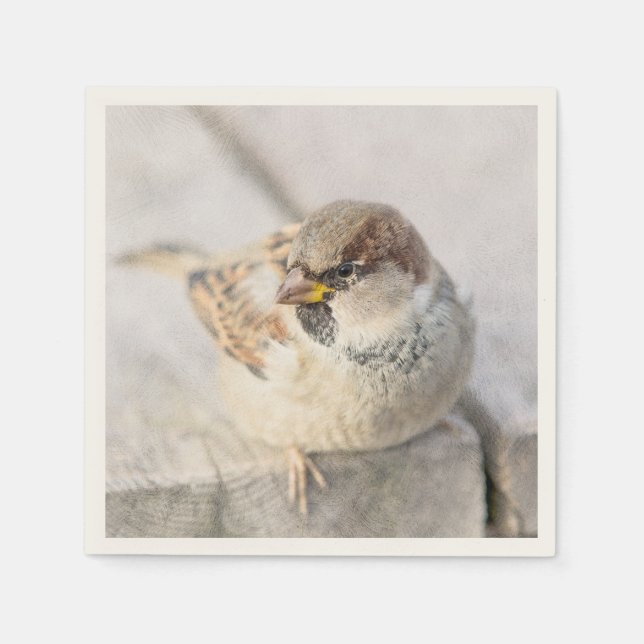 Sparrow - After The Transatlantic Napkin (Front)