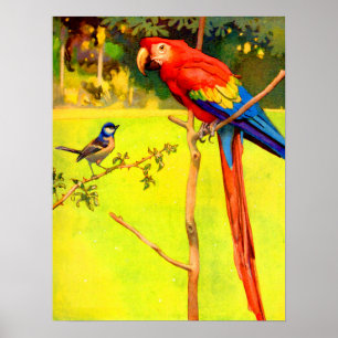 sparrow and parrot poster