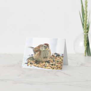 Sparrow and Seed - Blank Card