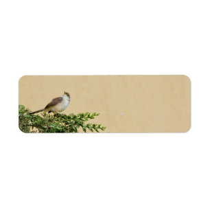Sparrow Bird Artwork Return Address Label