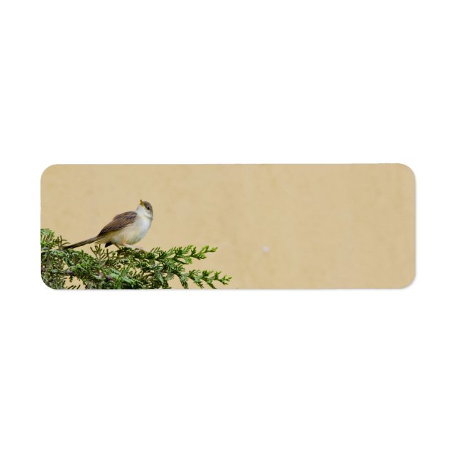 Sparrow Bird Artwork Return Address Label (Front)