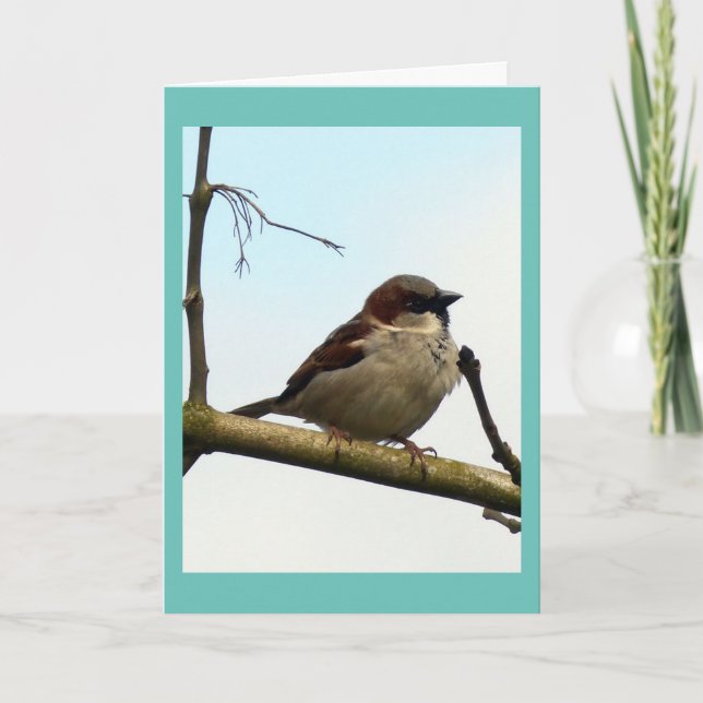 Sparrow bird card (Front)