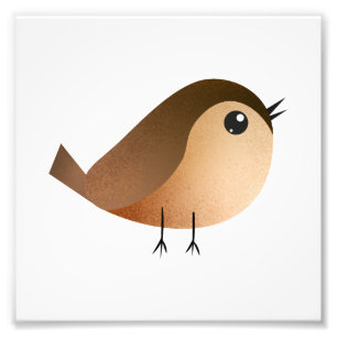Sparrow Bird Cartoon   Photo Print