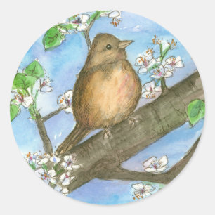 Sparrow Bird Fruit Tree Watercolor Wildlife Art Classic Round Sticker