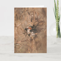 Sparrow Bird Funny Birdwatcher Retirement Congrats