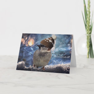 Sparrow Bird Nature Holiday Christmas Cards