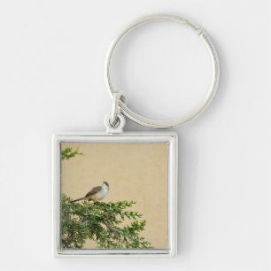 Sparrow Bird Photograph Key Ring