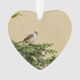 Sparrow Bird Photograph Ornament