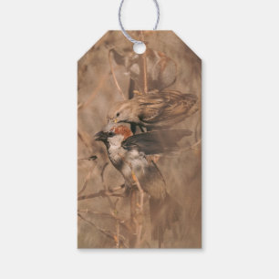 Sparrow Birds Funny Birdwatcher Retirement Party Gift Tags