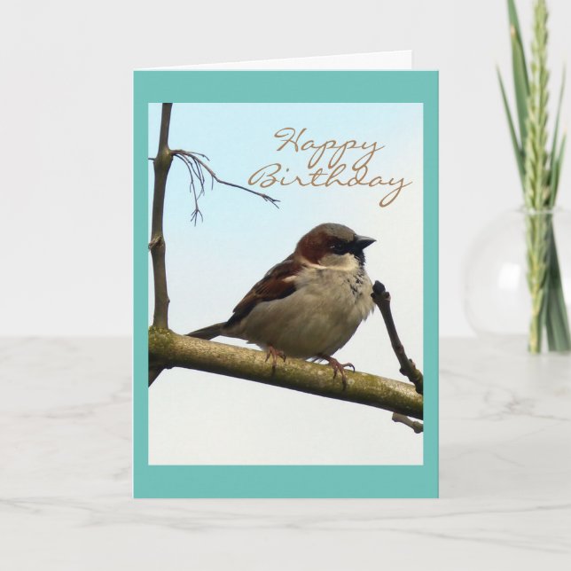 Sparrow Birthday card (Front)
