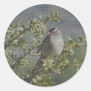 Sparrow Branch Wild Bird Photo Mosaic Birdwatcher Classic Round Sticker