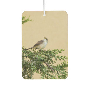 Sparrow car air freshener