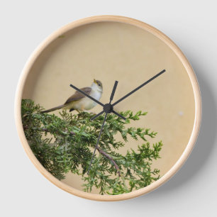 Sparrow clock