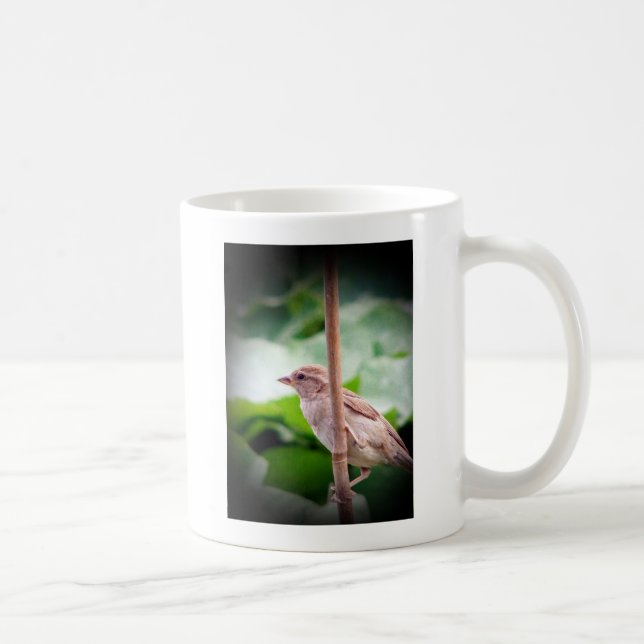 Sparrow Coffee Mug (Right)